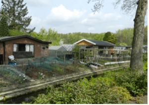 De Zuiderhof allotment