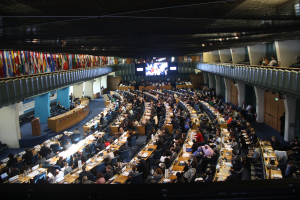 CFS in action (photo by X. Jiang)