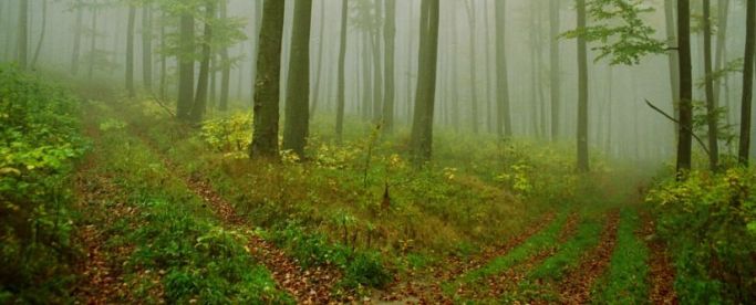 ed_duncan_figure1_new-824x333